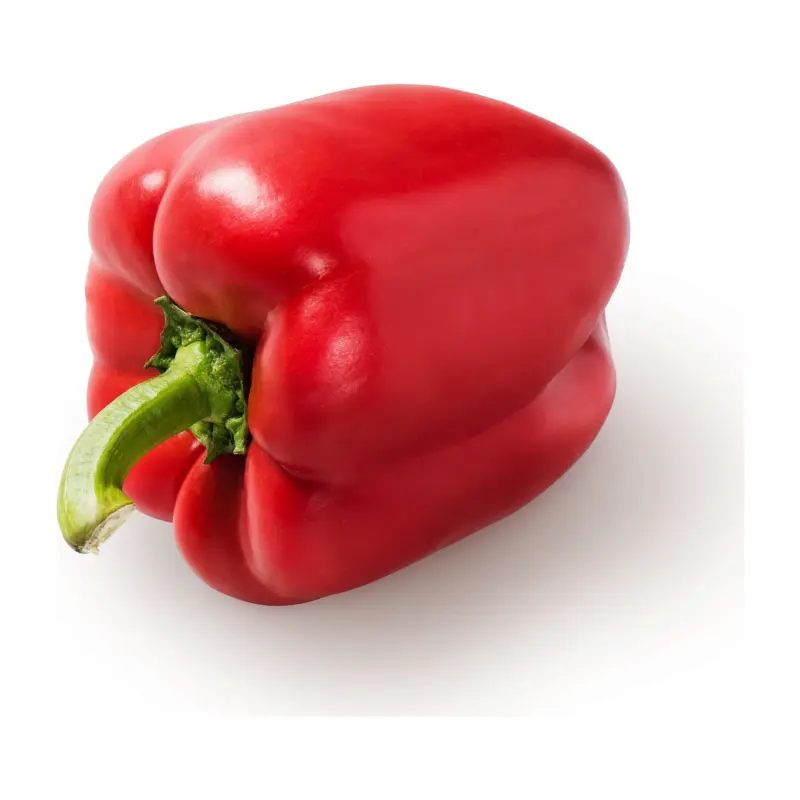 Da komm ich her! Paprika Rot