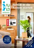 Blumen Ostmann - Stilvoll in die Saison starten