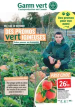 Gamm Vert DES PROMOS vertIGINEUSES - au 18.10.2026