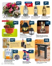 Najlepsze oferty dla wszystkich klient&oacute;w