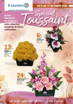 SA SOC COOPER GROUPEM ACHAT CENTRE LECLERC OP TOUSSAINT 100% digital mosaique - au 17.10.2026