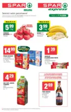T41 mini 2 SPAR &ndash; do 18.10.2026