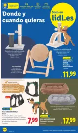 &iexcl;Bazar Lidl!- Ofertas v&aacute;lidas del 12/10 al 18/10