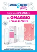 In omaggio il vaso il vetro