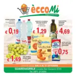 COAL SOC.COOP. A.R.L. Eccomi City - al 21.10.2026