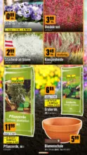 Hornbach Hornbach: K&uuml;rzere Tage wecken Deinen Ehrgeiz. - bis 30.10.2026