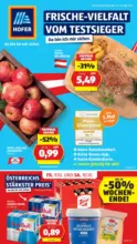 HOFER HOFER: Flugblatt - ab 09.10.2026