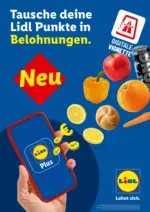 Lidl Lidl - bis 30.11.2026