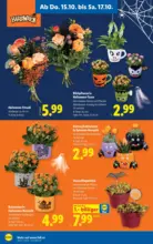 Lidl Lidl - bis 21.10.2026