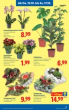 Lidl Lidl - bis 21.10.2026