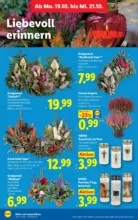 Lidl Lidl - bis 21.10.2026