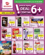Oferta dla profesjonalist&oacute;w Selgros &ndash; do 21.10.2026