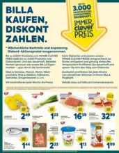 BILLA PLUS: Flugblatt Burgenland
