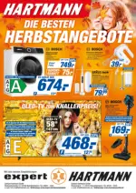 Gerhard Hartmann GmbH Expert: Elektronikangebote - bis 28.10.2026