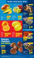 Lidl Lidl: Wochenangebote - bis 17.10.2026