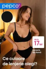 PEPCO Catalog Pepco - p&acirc;nă la 25-10-26