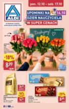 Najlepsze oferty i rabaty Aldi &ndash; do 17.10.2026