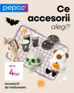 PEPCO Catalog Pepco - p&acirc;nă la 26-10-26