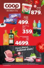Coop: Coop region&aacute;lis sz&oacute;r&oacute;lap okt&oacute;ber 3. h&eacute;t - &Eacute;szak-Kelet - 2026.10.21 napig