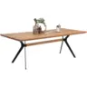 Esstisch 220/100/76 cm Echtholz Holz rechteckig Schwarz, Eichefarben