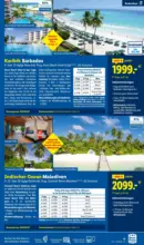 Lidl Lidl Reisen - bis 31.10.2026