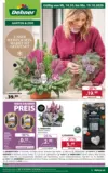 Dehner: Garten & Zoo