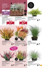 Dehner Hohenems Dehner: Garten & Zoo - bis 19.10.2026