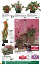 Dehner Hohenems Dehner: Garten & Zoo - bis 19.10.2026