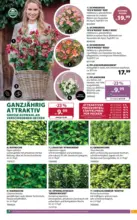 Dehner Hohenems Dehner: Garten & Zoo - bis 19.10.2026