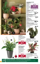 Dehner Hohenems Dehner: Garten & Zoo - bis 19.10.2026