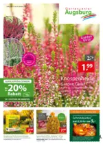Gartencenter Augsburg Gartencenter Augsburg: Wochenangebote - bis 25.10.2026