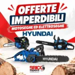 Brico Sapiens Offerte Imperdibili - al 18.10.2026