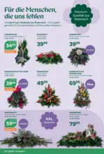 Bellaflora: Flugblatt