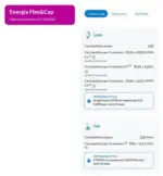 Engie Energia Flec&Cap - al 21.10.2026