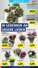 HOFER HOFER: Flugblatt - bis 22.10.2026