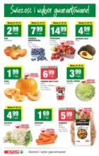 T43 SPAR