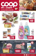 Coop: Coop region&aacute;lis sz&oacute;r&oacute;lap okt&oacute;ber 4. h&eacute;t - Alf&ouml;ld - 2026.10.28 napig
