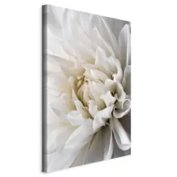 Leinwandbild White Dahlia Wei&szlig;/Grau ca. 80x120x1,2cm