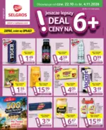 Oferta dla profesjonalist&oacute;w Selgros &ndash; do 04.11.2026