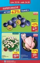 Świetna oferta dla wszystkich klient&oacute;w