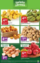 Express Stokrotka Sp. z o.o. &ndash; do 28.10.2026