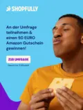 Shopfully Umfrage