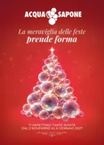Acqua & Sapone SRL Societ&agrave; Consortile La meraviglia delle feste prende forma - dal 02.11.2026