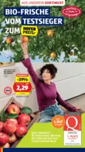 HOFER HOFER: Flugblatt - ab 30.10.2026