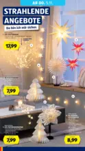 HOFER HOFER: Flugblatt - ab 30.10.2026
