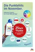 dm drogerie markt dm: Journal Express - bis 25.11.2026