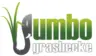 Jumbograshecke