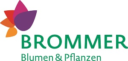 Blumen Brommer