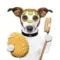 Hundesalon Andrea