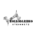 Steinmetz Hollodaridio